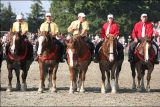 Mille Sabots Horse Show - Lamballe - 20090927 40539