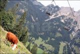 Tannheimer Valley - Austria -20120824 90868